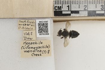 Media type: image;   Entomology 791908 Aspect: Labels